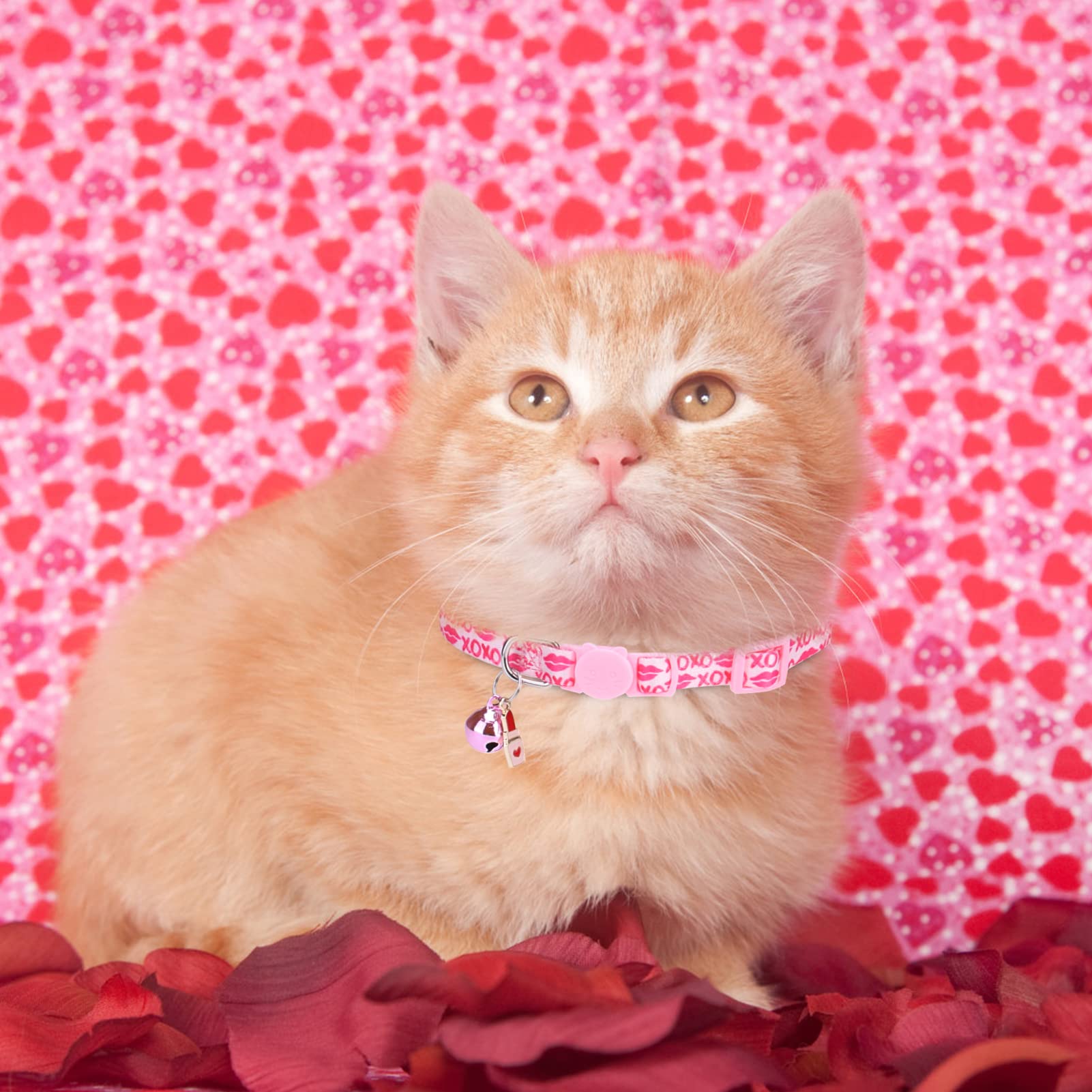 Collares de gato Breakaway para el día de San Valentín, collares ajustables para gatitos con campana y bonitos colgantes, decoración para niñas, niños, gatos, cachorros y mascotas pequeñas