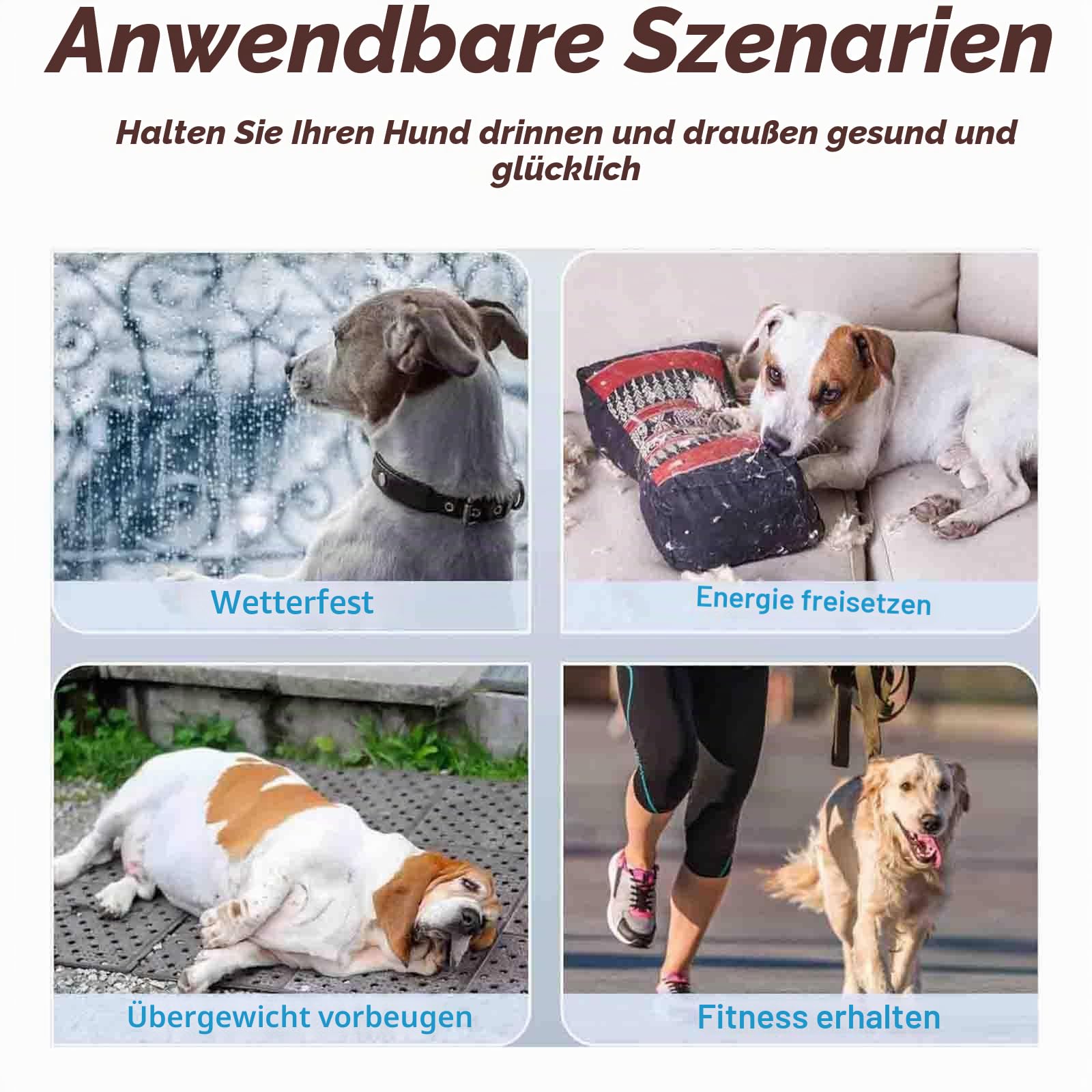 Hundelaufband für kleine und mittelgroße Hunde, Indoor-Laufband für Haustiere, Lamellenband, um Hunde aktiv und fit zu halten, Mehrere Modi und 15 einstellbare Geschwindigkeitsstufen