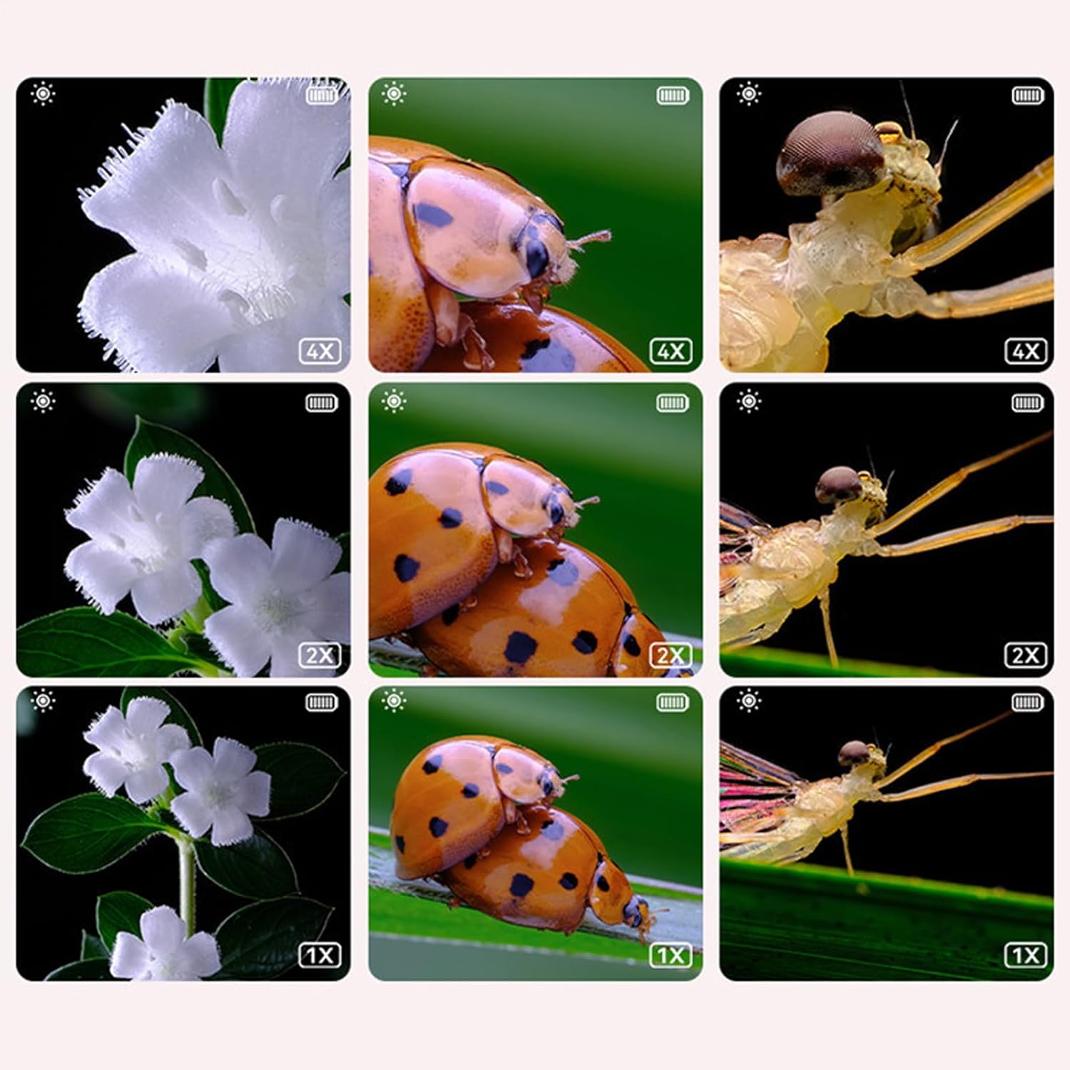 子供用顕微鏡 2.0インチスクリーン 500倍 | ミニ顕微鏡 | 人間工学に基づいたハンドル拡大鏡付き 教育用拡大鏡 就学前の生物