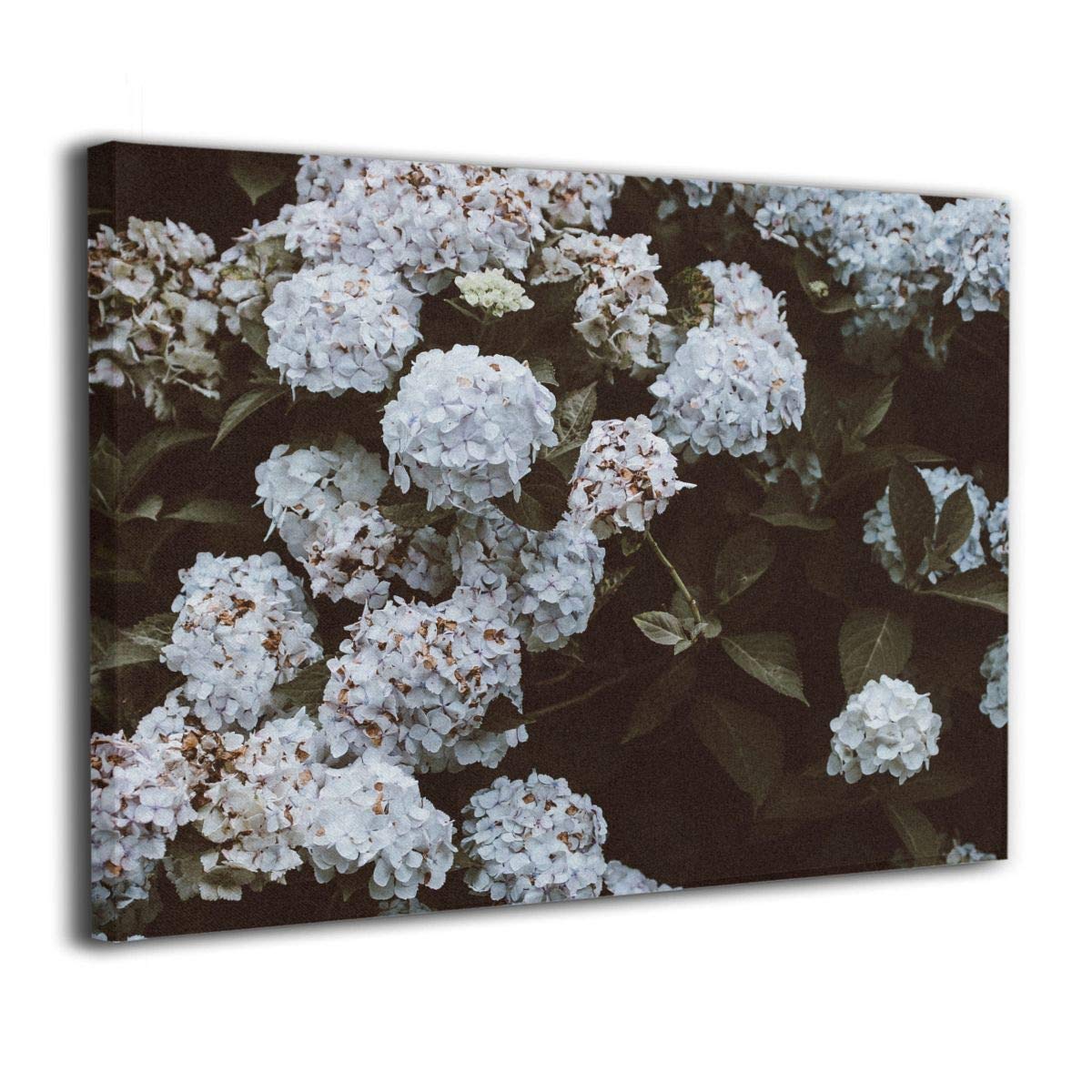 Tour Edge Hot Launch E525 VIBRCOR Gap Wedge 52* (Steel True Temper MPH 95, Left) 2025