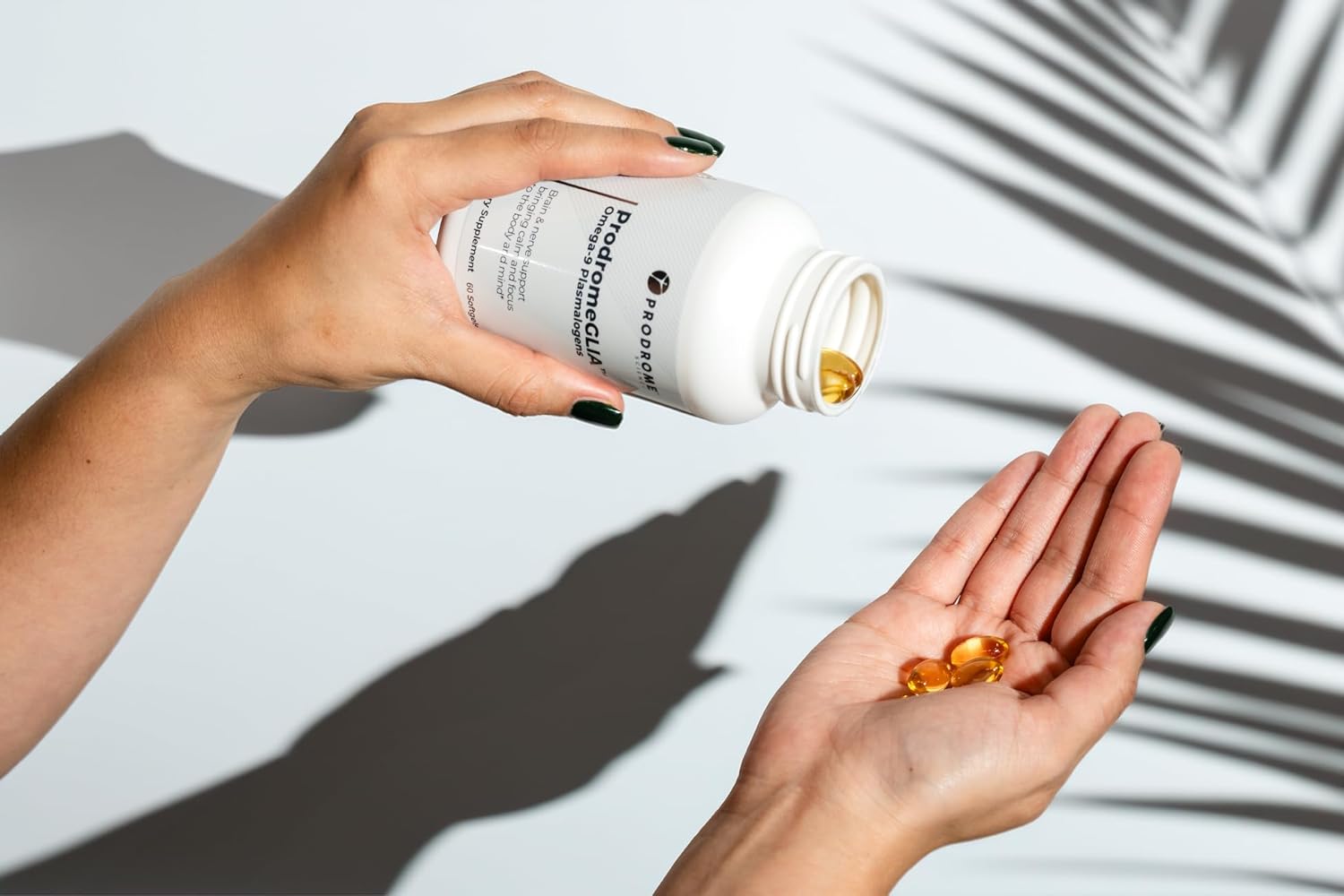ProdromeGlia™ White Matter Plasmalogen Omega-9 Supplement for Brain and Cellular Health | Supports the Structural Composition of Myelin and Nervous System Membranes | 60 Softgels