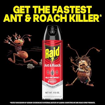 Raid Ant & Roach Killer 26, Fragrance Free Bug Killer for Home Use, Kills Bugs on Contact, Roach and Ant Spray, 17.5 Oz, 2 Count