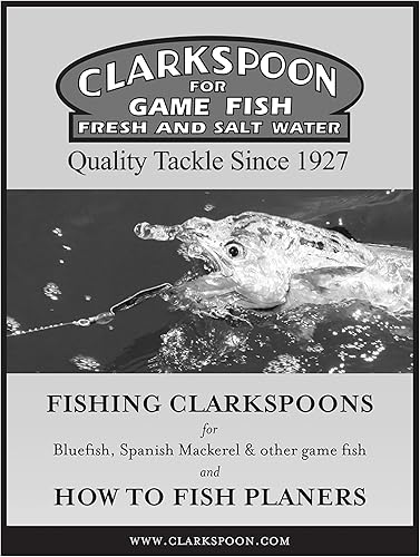 Miniatura 5 de Clarkspoon Kit de cepilladora - Cepilladora tamaño 2 con línea de mano y tamaño 0 Silver Clarkspoon - Ideal para caballa española, pescado azul,