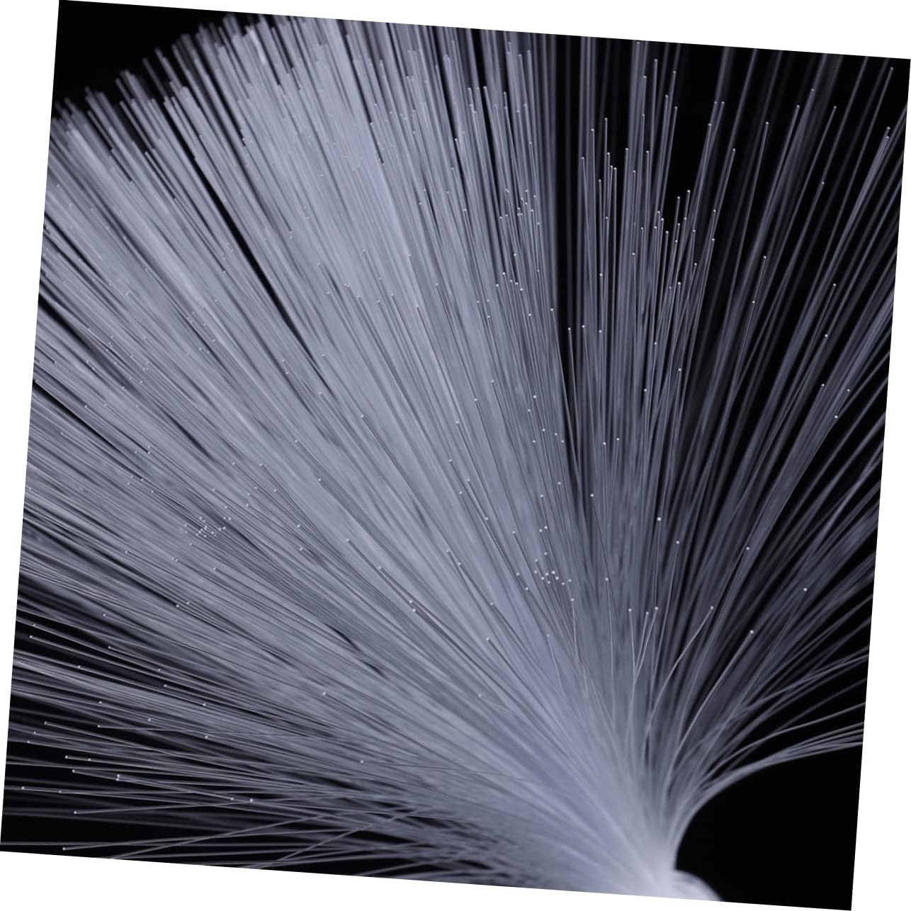 KALLORY 4pcs Fiber Optic Light Led Fiber Optic Lamp Effect Decorative for Party No Battery Needed