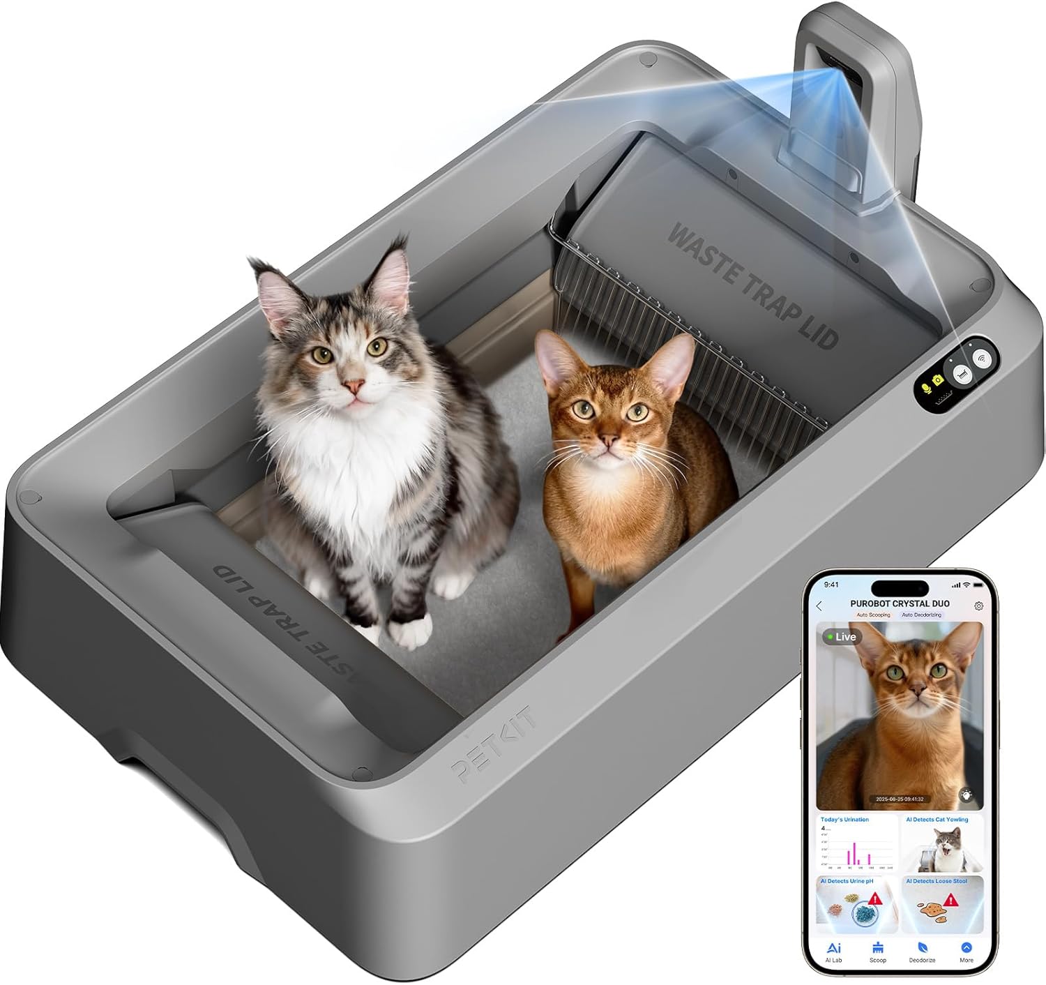 PETKIT PUROBOT CRYSTAL DUO Lettiera Gatto Autopulente con Telecamera AI, Monitoraggio APP, Deodorizzazione Doppia, Design Aperto Sicuro, Doppio Vano Raschiatura Bidirezionale per Gatti Grandi, Grigio