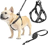 Vista 15 de PUPTECK Arnés para perro sin tirones, suave y ajustable, de nailon básico, chaleco para cachorros para caminar al aire libre con etiqueta