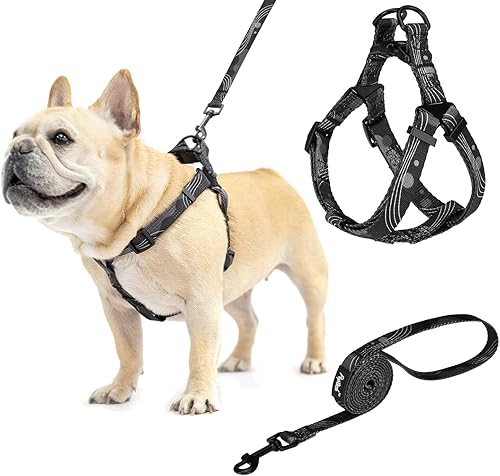 Miniatura 15 de PUPTECK Arnés para perro sin tirones, suave y ajustable, de nailon básico, chaleco para cachorros para caminar al aire libre con etiqueta