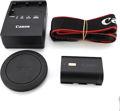 Canon Mirrorless Camera Body Only EOS R6 Body