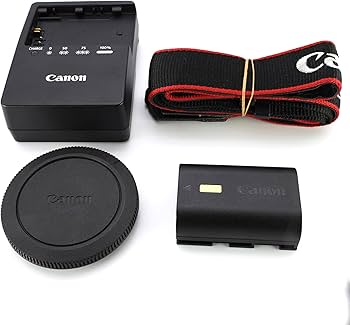 【美品】Canon EOS R6 ボディ 本体 Amazon | Canon ミラーレス一眼カメラ ボディのみ EOS R6 ボディー