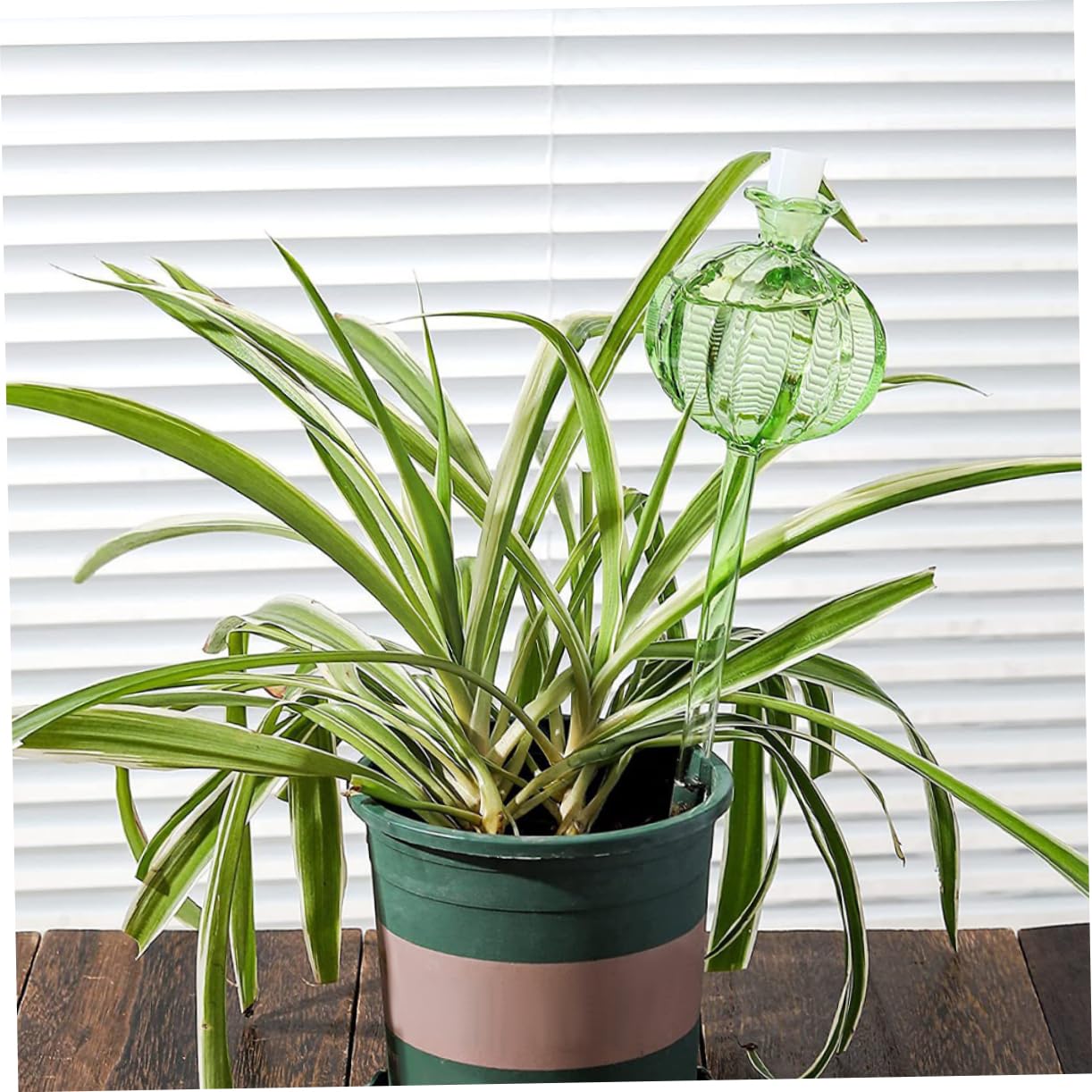 BESTonZON Globes D'arrosage Forme Cactus Lot de 4 en Verre Borosilicate Arrosage Automatique Vert Décoratif Facile pour Garder Vos Plantes Hydratées pour Bonsaïs et Plantes en Pot