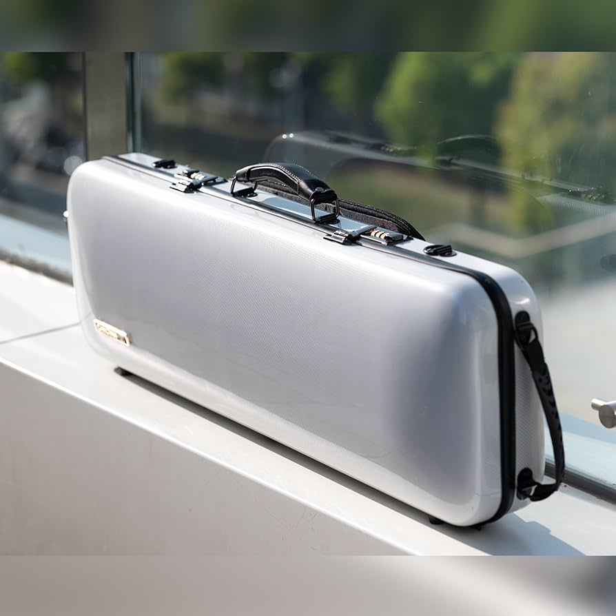 バイオリン 長期物置き保管品 バイオリン長期物置き保管品