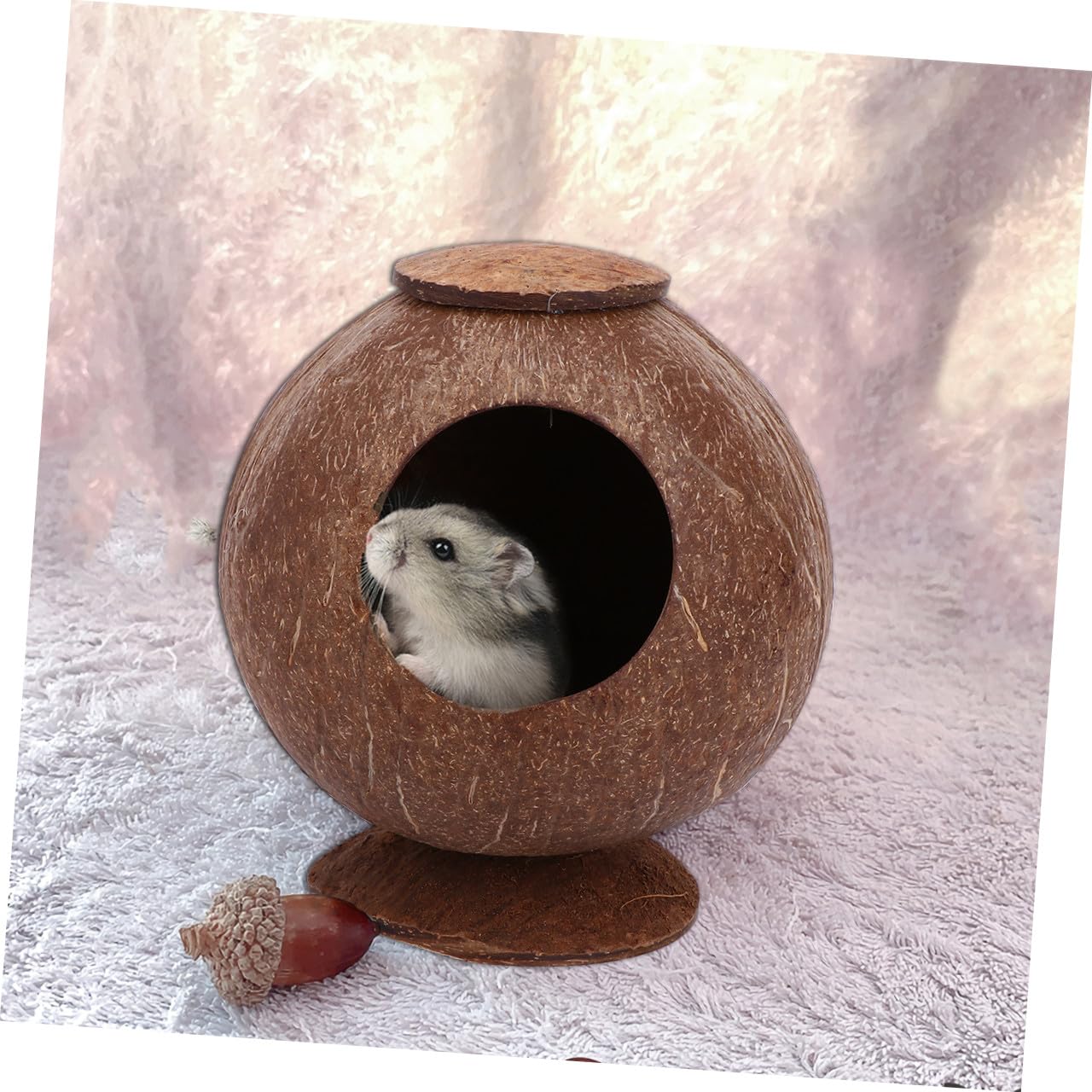 POPETPOP 2stücke Poliertes Kokosnussschalen-Nest Für Haustiere Geeignet Für Vögel Hamster Und Eichhörnchen Langlebiges Natürliches Design Mit Basis Für Gemütliche Umgebung