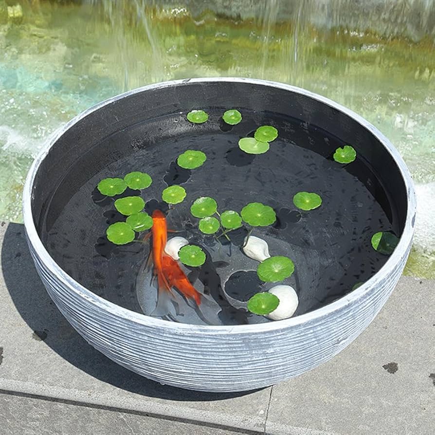特大睡蓮鉢　金魚　メダカ飼育鉢　内径51約cm 特大睡蓮鉢 金魚 メダカ飼育鉢 内径51約cm