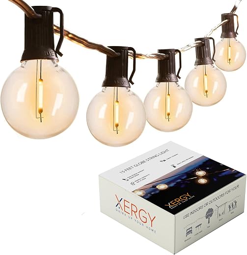 XERGY Outdoor String Lights 15 Feet G40 Globe Lights with 15 Edison LED Break Proof Bulbs +1 Extra, Light for Backyard Ter...