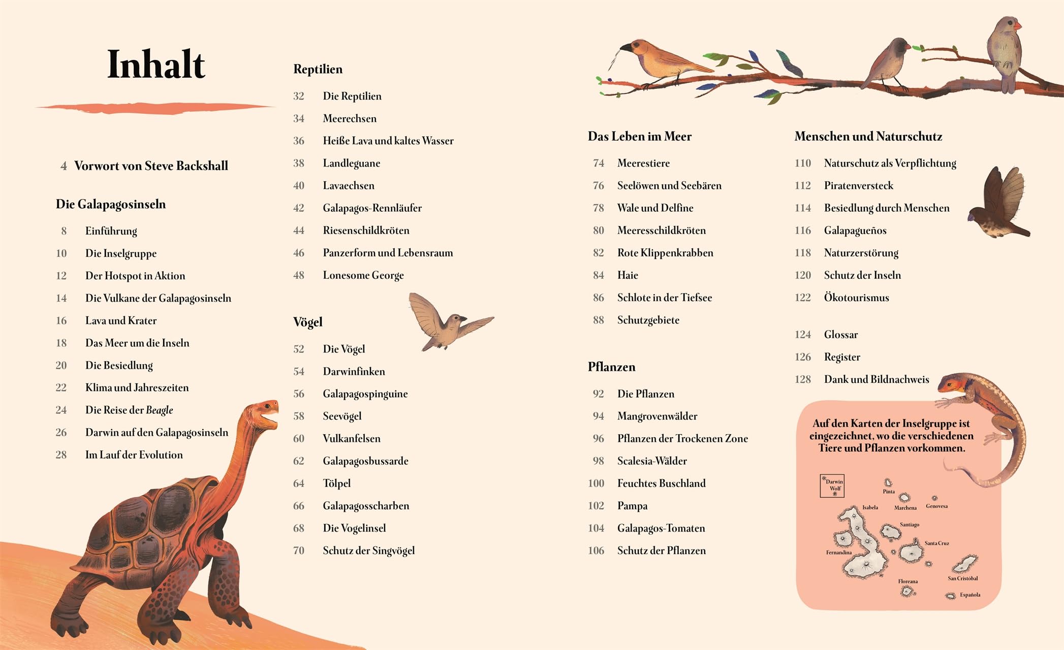 Galapagos: Eine Reise zu einzigartigen Vögeln, Reptilien und Meerestieren. Wunderschönes Naturbuch. Für Kinder ab 8 Jahren