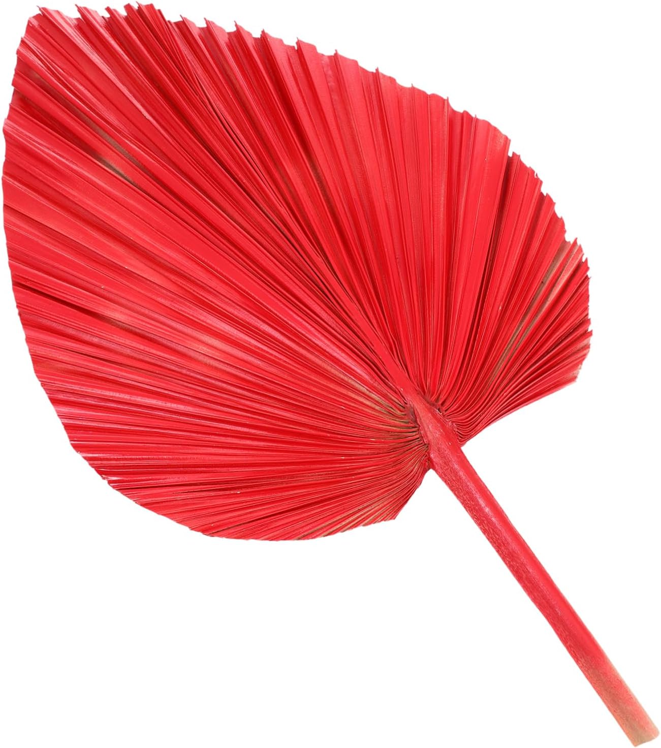 Dried Palm Leaf Decor for Weddings and Events Realistic Faux for Home and Party Decoration for Floral Arrangements and Tropical Themes