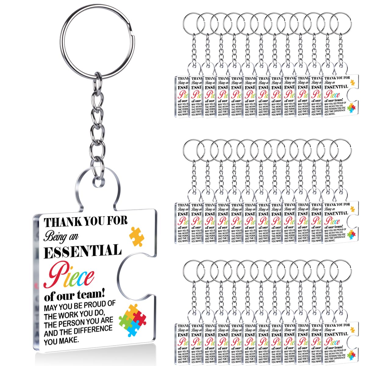 Team Appreciation Gifts Bulk Thank You Keychains for Coworkers