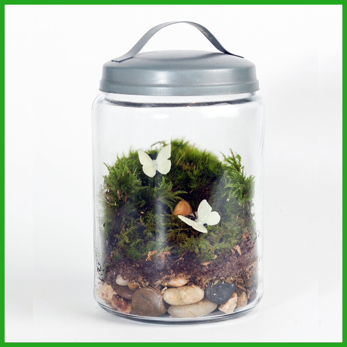 Enchanted Garden DIY Terrarium Kit Amazon.in Toys & Games