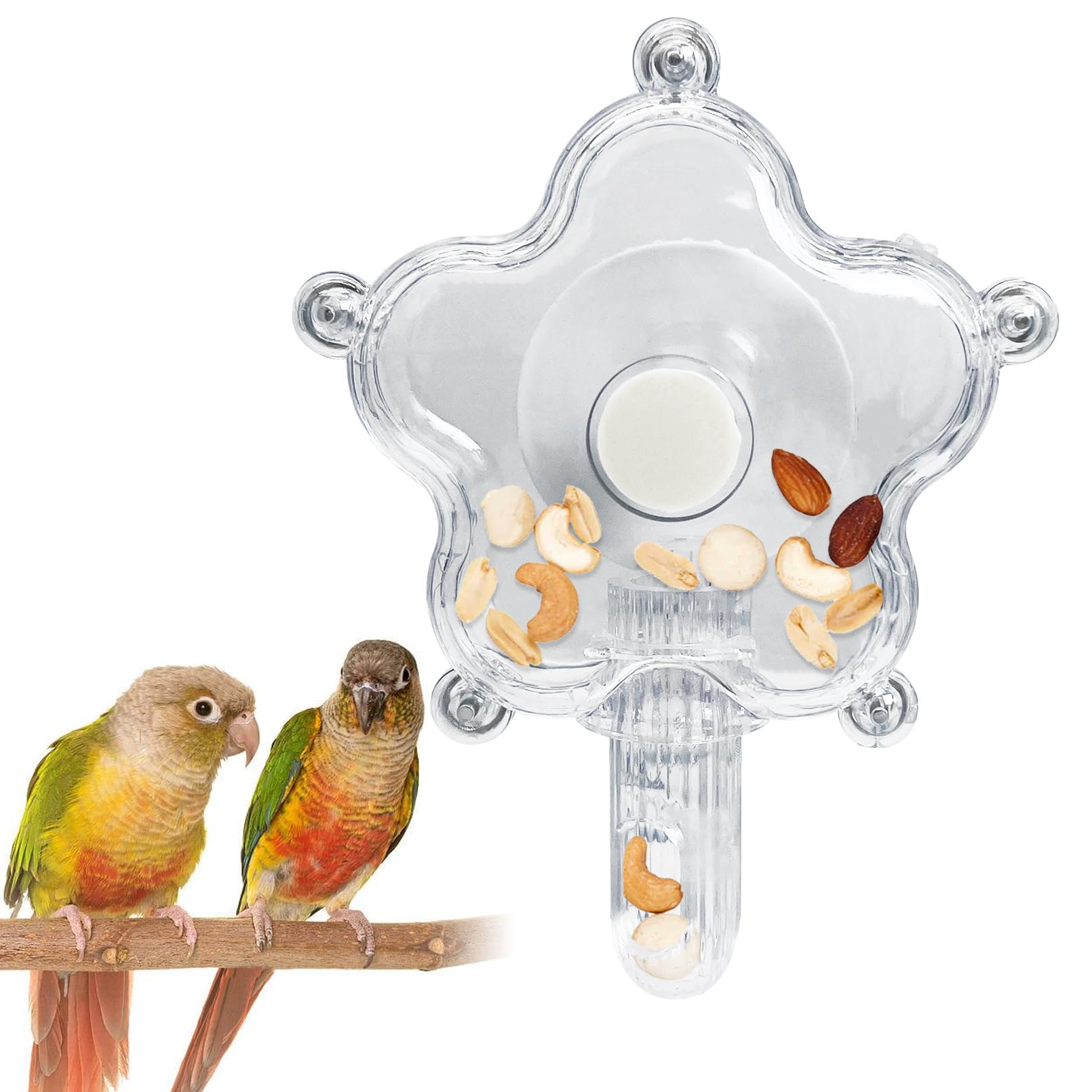 BNOSDM Bird Foraging Toys Cockatiel Foraging Wheel Parrot Cage Spinning Toys Parakeet Enrichment Puzzle Feeder Toy for Budgies Lovebirds Canaries (Transparent)