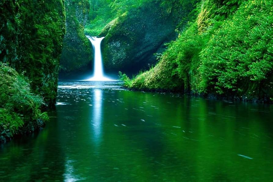 Amazon.co.jp: 美しい緑の森、滝、川、山 (014) 自然の風景 景観