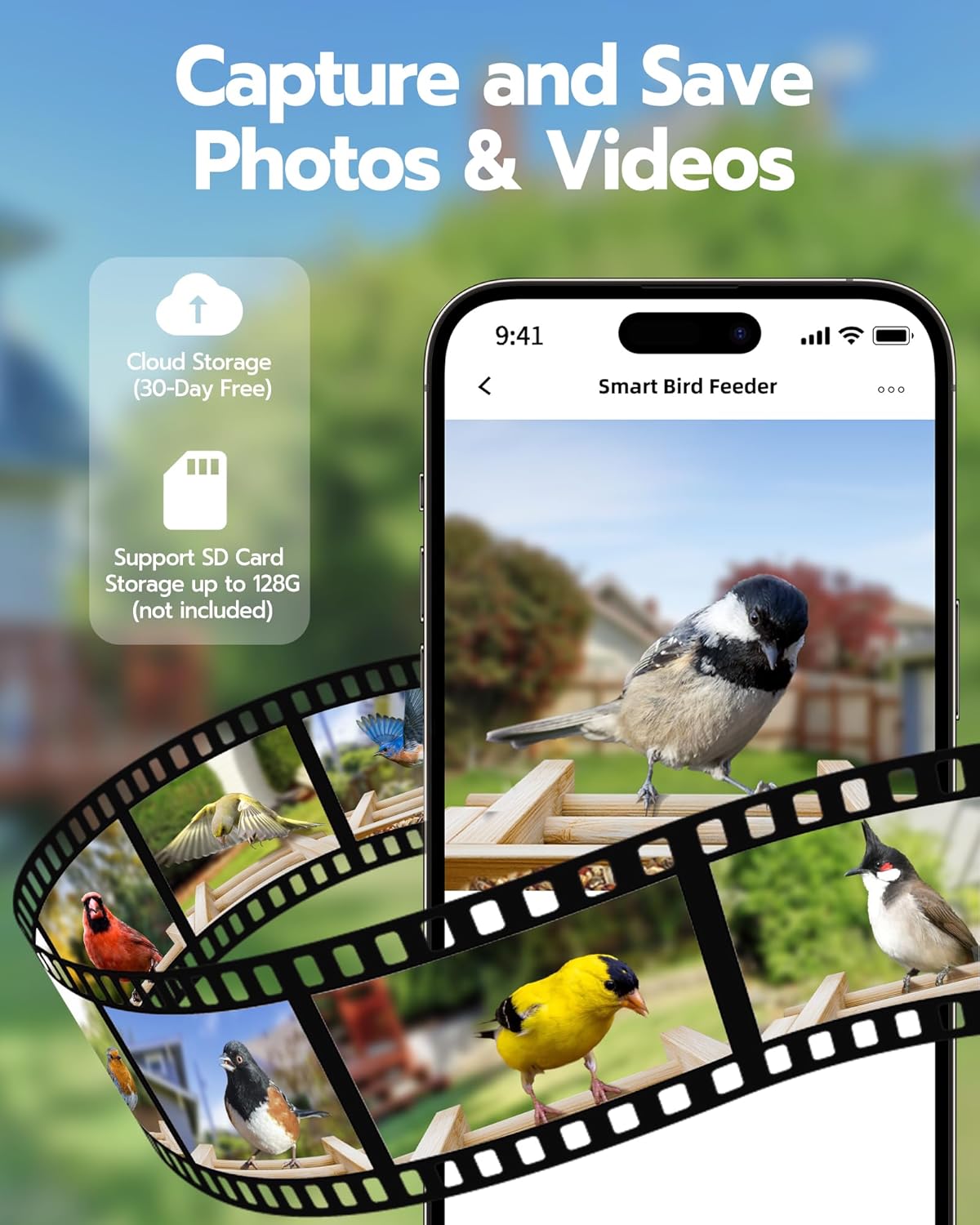 Bird Feeder with Camera, Smart Wild Bird Feeder for Outdoors with AI Identify, Solar Bird Feeder Watching Camera Auto Capture Birds & Real-time Notifications, Gifts for Birdlover (Arch) - Image 7