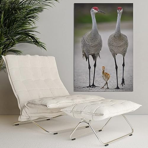 Miniatura 4 de Póster en lienzo con diseño de animales salvajes, grúa y Bdby, decoración de dormitorio, paisaje deportivo, oficina, habitación, regalo, póster de
