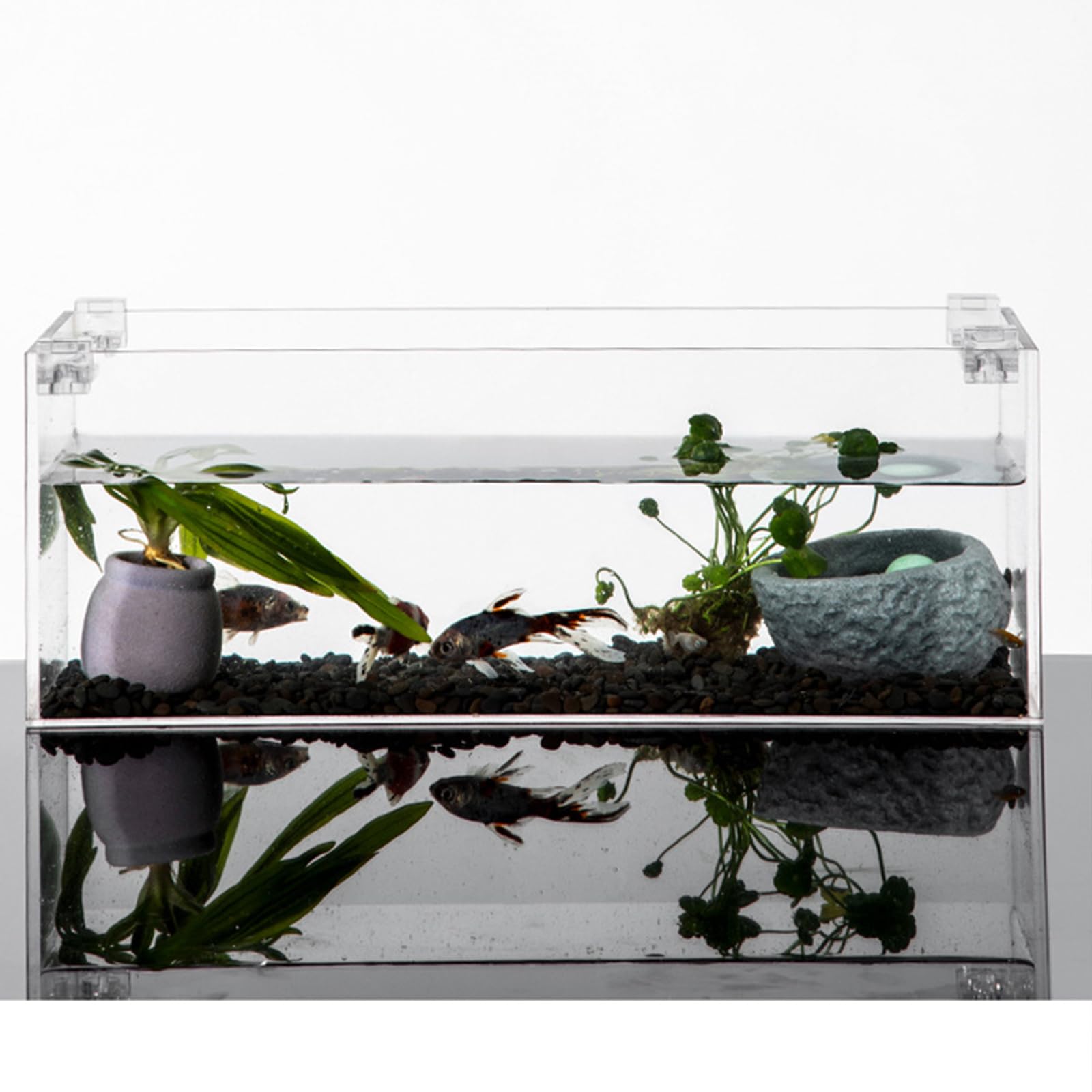 Lot de 10 supports de couvercle d'aquarium pour divers aquariums