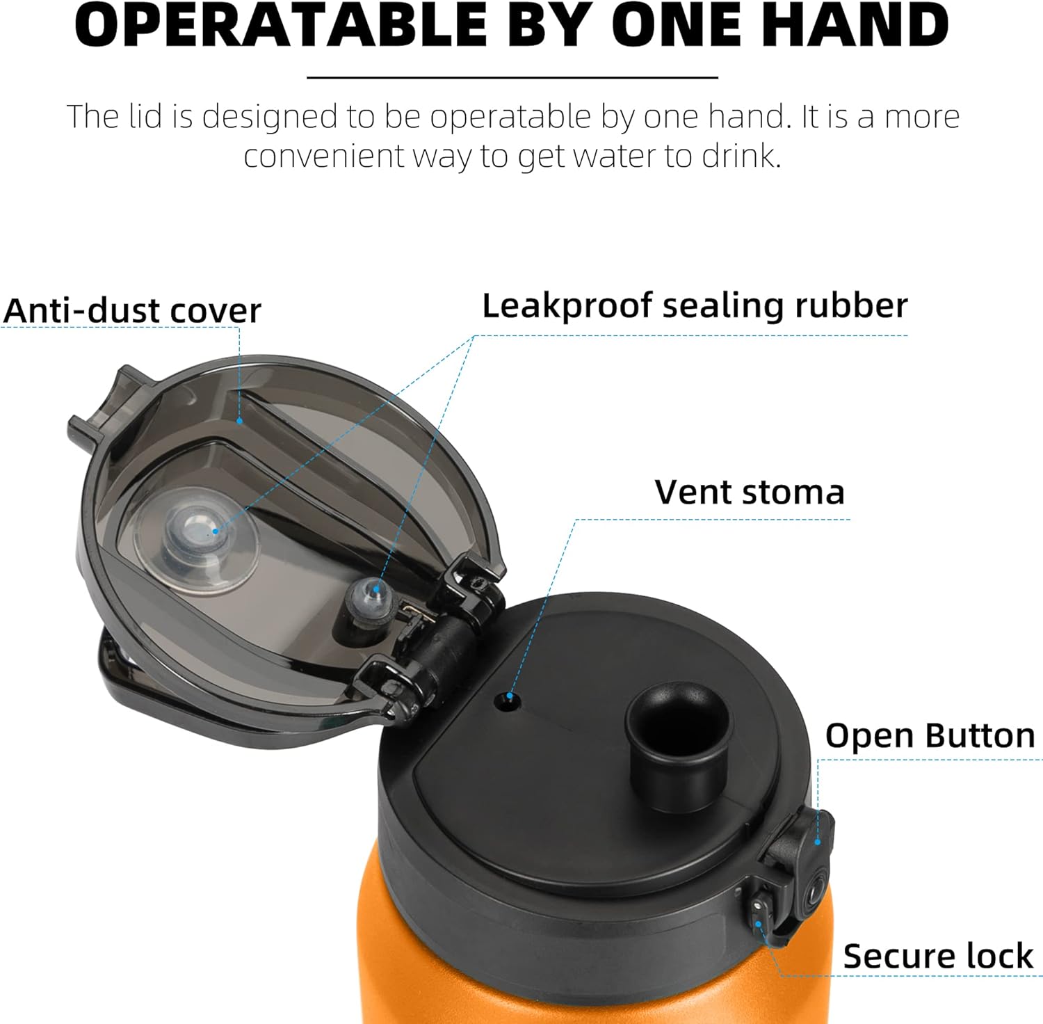 Fanhaw 24 oz Insulated Stainless Steel Water Bottle with Anti-Dust Chug Lid, Leakproof Vacuum Metal Bottle for Kids, Women & Men (Yellow Orange) - Image 2