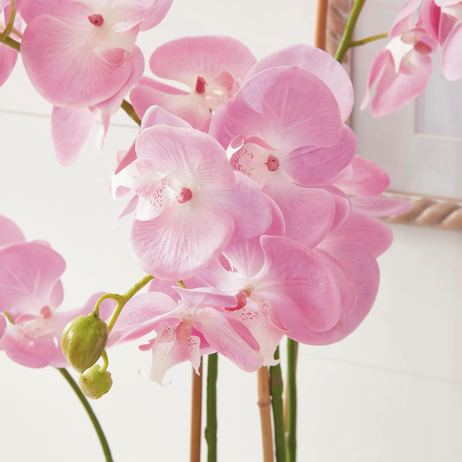 Napa Home & Garden DI1202P Conservatory Phalaenopsis Pink Drop in - 30 in. 30 Inch Pink