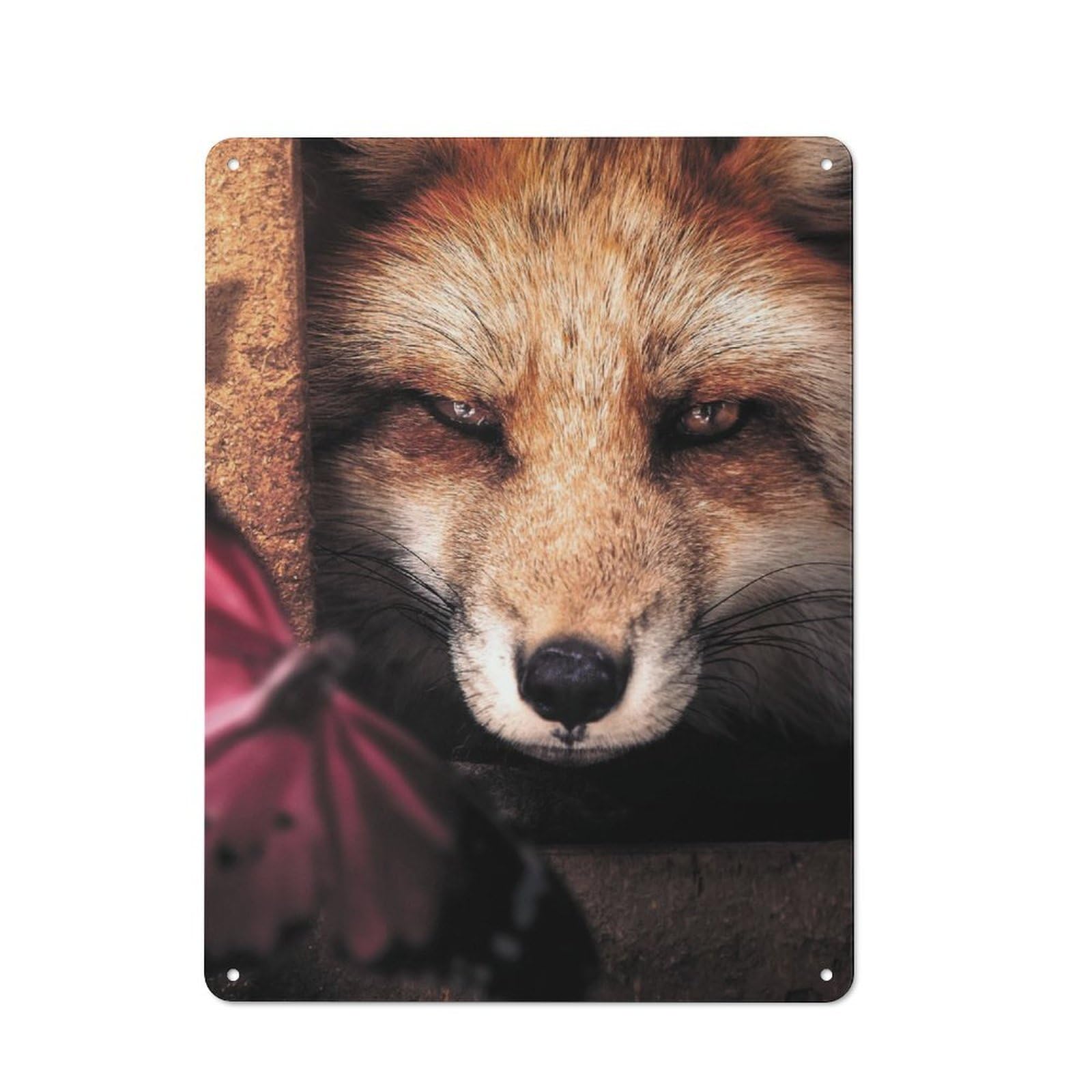 Junmoney Hiding Fox And Butterfly Retro-Style Metal Plaque 40X30cm For Garage Or Workshop, For Garage, Workshop And Man Cave Decoration