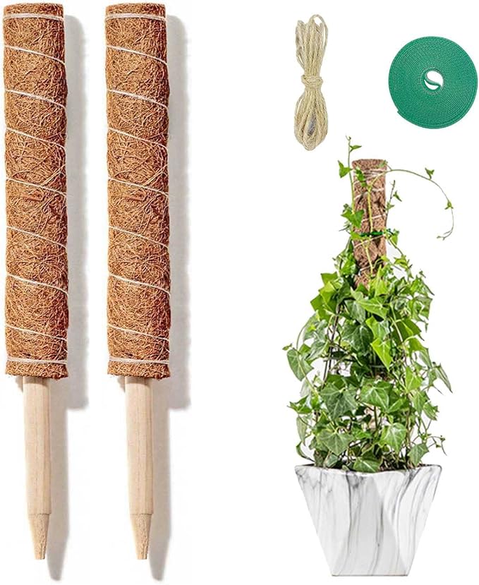 2 Totem In Fibra Di Cocco Per Piante Rampicanti – 30 Cm – Supporto Per Monsteras, Edera, Viti - 4