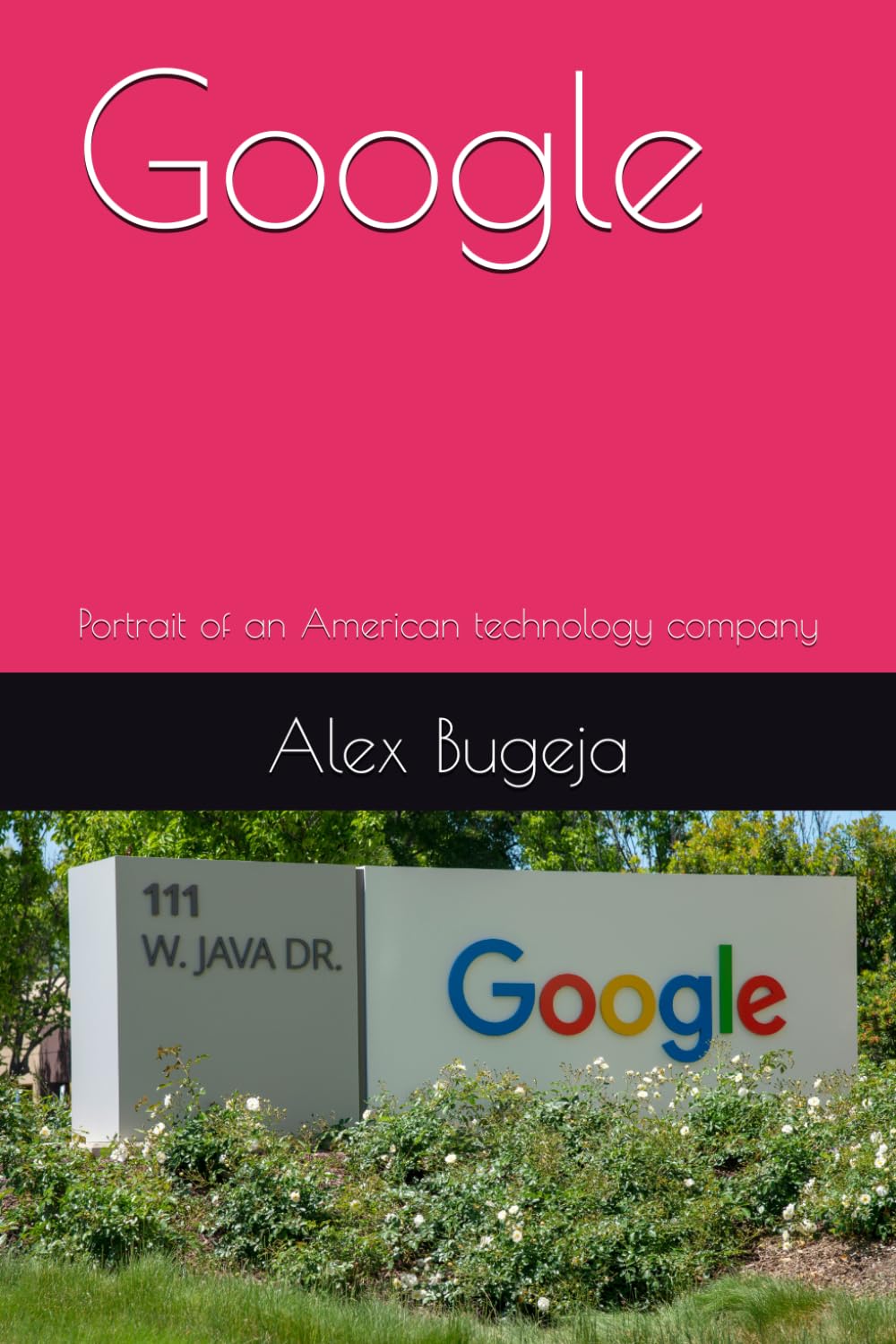 Google: Portrait of an American technology company (Company Portraits)