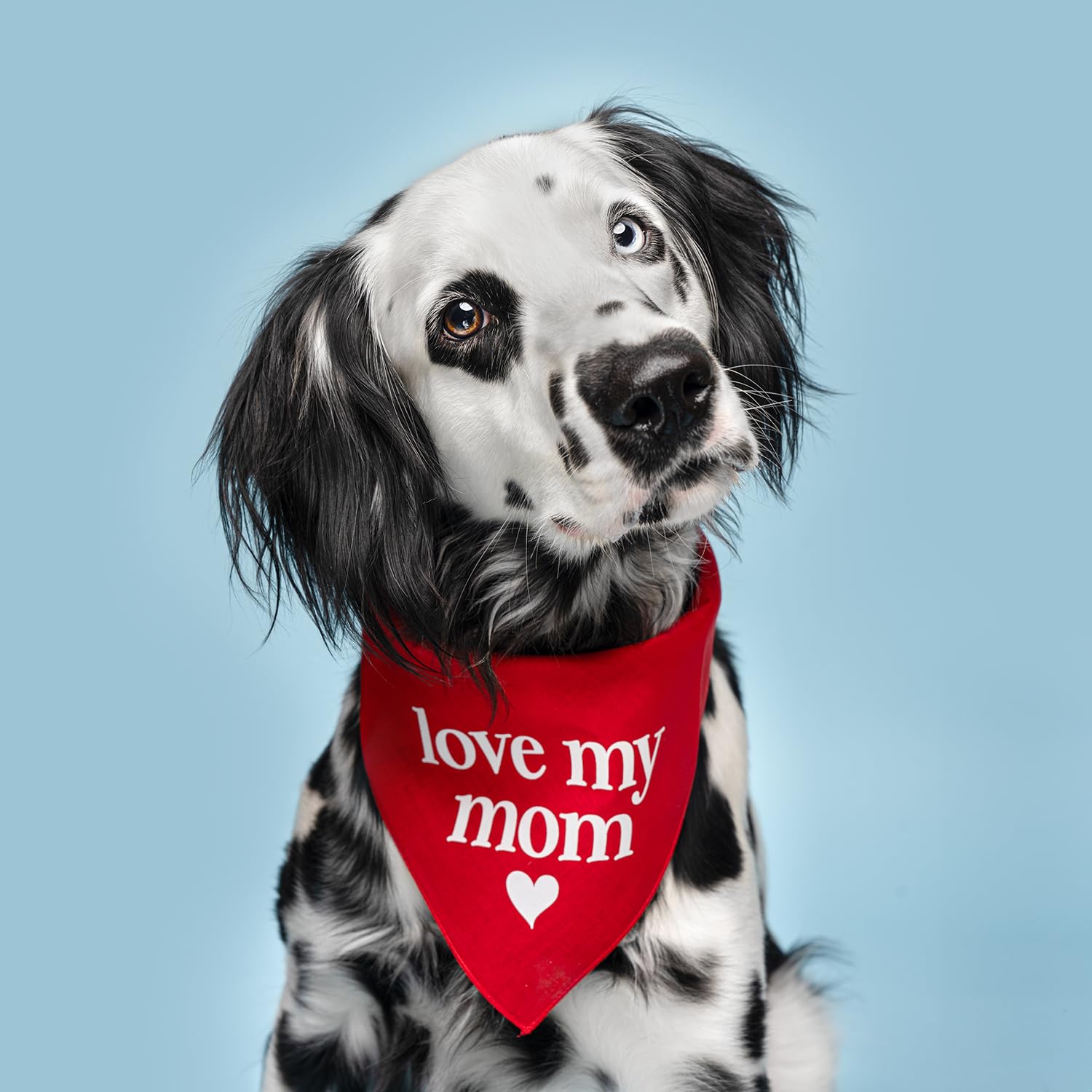 Love My Mom Dog Bandana | 100% Cotton | Made in USA for Mom | Valentine's Day | Prop Photoshoot |Camo, X-Small (429)