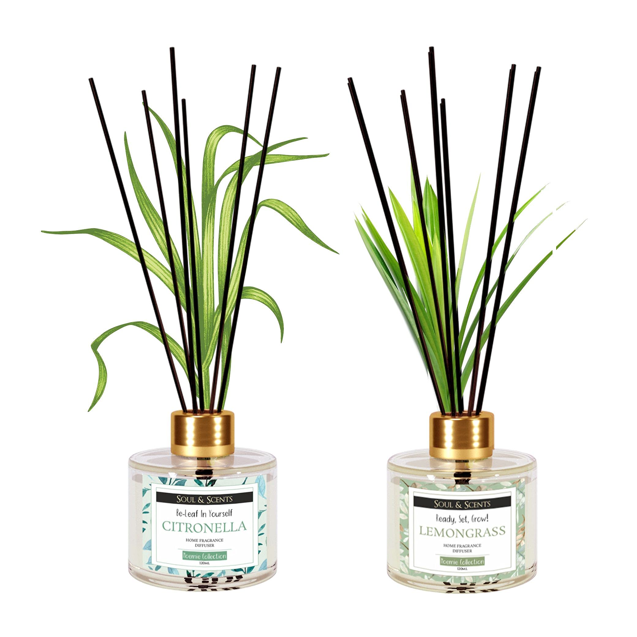 Soul & ScentsCitronella & Lemongrass Reed Diffuser Set - 120ml with 6 Fiber Sticks Each | Stress Relief & Aromatherapy | Scented Air Freshener for Home, Bedroom, Bathroom & Office | Pack of 2