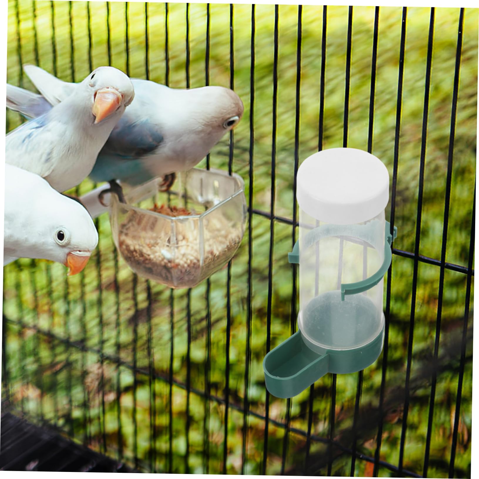 Alasum 20stücke Automatischer Vogelfutterspender Und Wasserspender Für Käfige Praktische Futter Und Wasserbehälter Für Papageien Wellensittiche Nymphensittiche Kanarienvögel Und