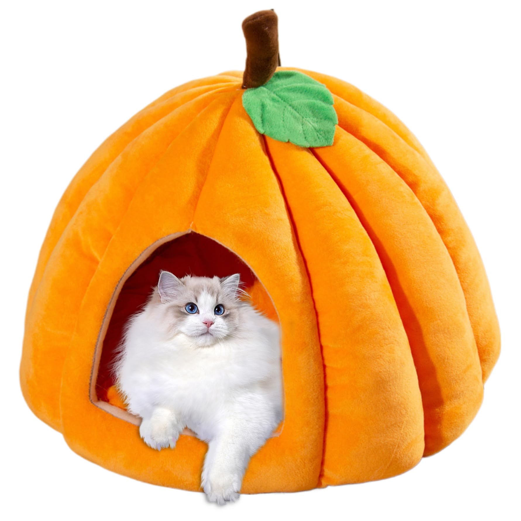 Maison pour chats d'intérieur citrouille d'Halloween douce et surélevée