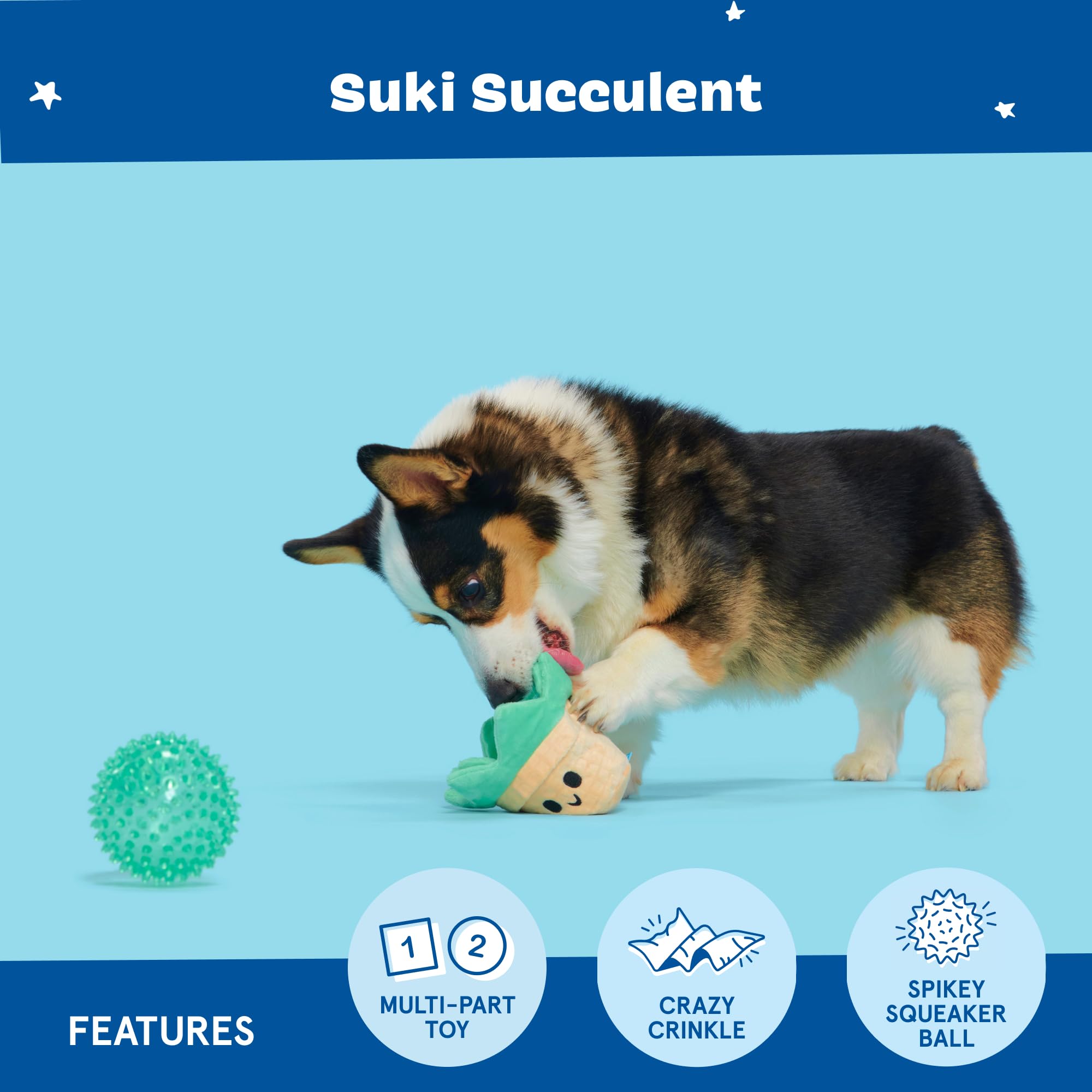 BARK Dog Toy Suki Succulent 2 In 1 Toy for Dogs Plush Cactus with Spiky Squeaker Ball, Whip-N-Flip Leaves, Crazy Crinkle - Image 4
