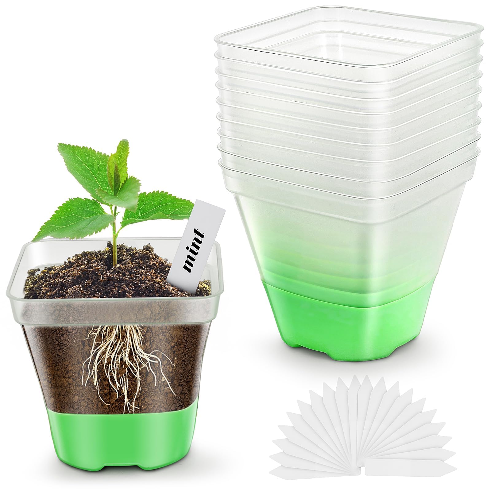 Clear Nursery Pots for Plants, 12 Packs 3.1" Reinforced Clear Nursery Pots with Silicone Base for Easy Transplant, Transparent Plastic Plant Pot Reusable Seedling Pots Seed Starter Pots, 10pcs Labels