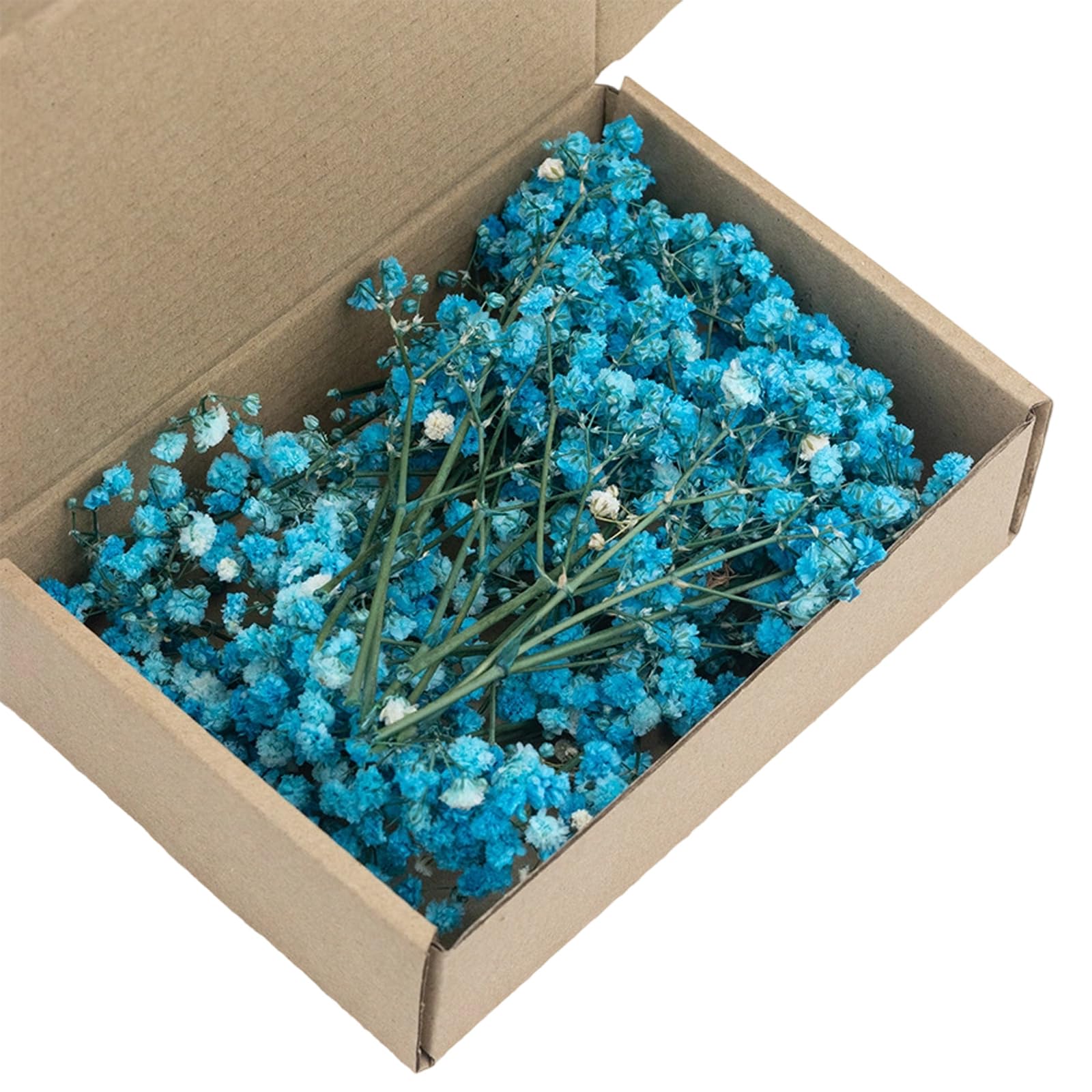 Xuancai Natural Looking Preserved Gypsophila Flower for Bouquets and Room Decoration Table Centerpieces Accessories Dried White Gypsophila Bunch