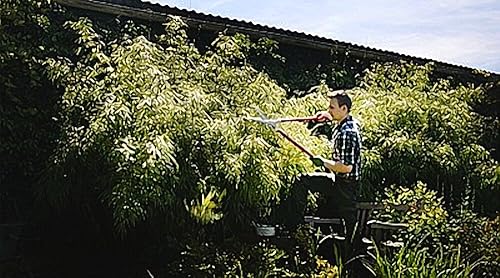 Miniatura 41 de BERGER Topiary Shear 2510 - Cizalla de jardín con mango de madera de haya con cuchillas autoafilables, longitud 17.7 in