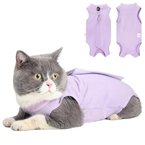 Cat Recovery Suit for Abdominal Wounds or Skin Diseases, Cat