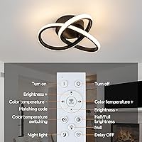 Vista 9 de 10 Inch Modern Ceiling Light, 24W LED Dimmable Ceiling Light with Remote Control, 3000-6000K Color Temperature Adjustable, Black Small Chandelier