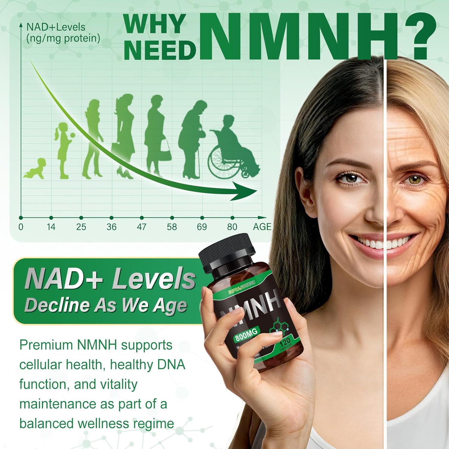 Pure NMNH Supplement 120 Capsules - 800mg High-Purity NMNH Supplements, NAD Supplement for Boost NAD+ for Anti-Aging & Cellular Energy - Image 8