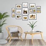 Giftgarden 14 Pack cadres d'image noir avec tapis pour différentes tailles Photos, Assortiment de cadre maté ensemble comprenant deux 11x14, Six 8x10, Six 5x7, Collage de cadre pour affichage mural ou tabletop