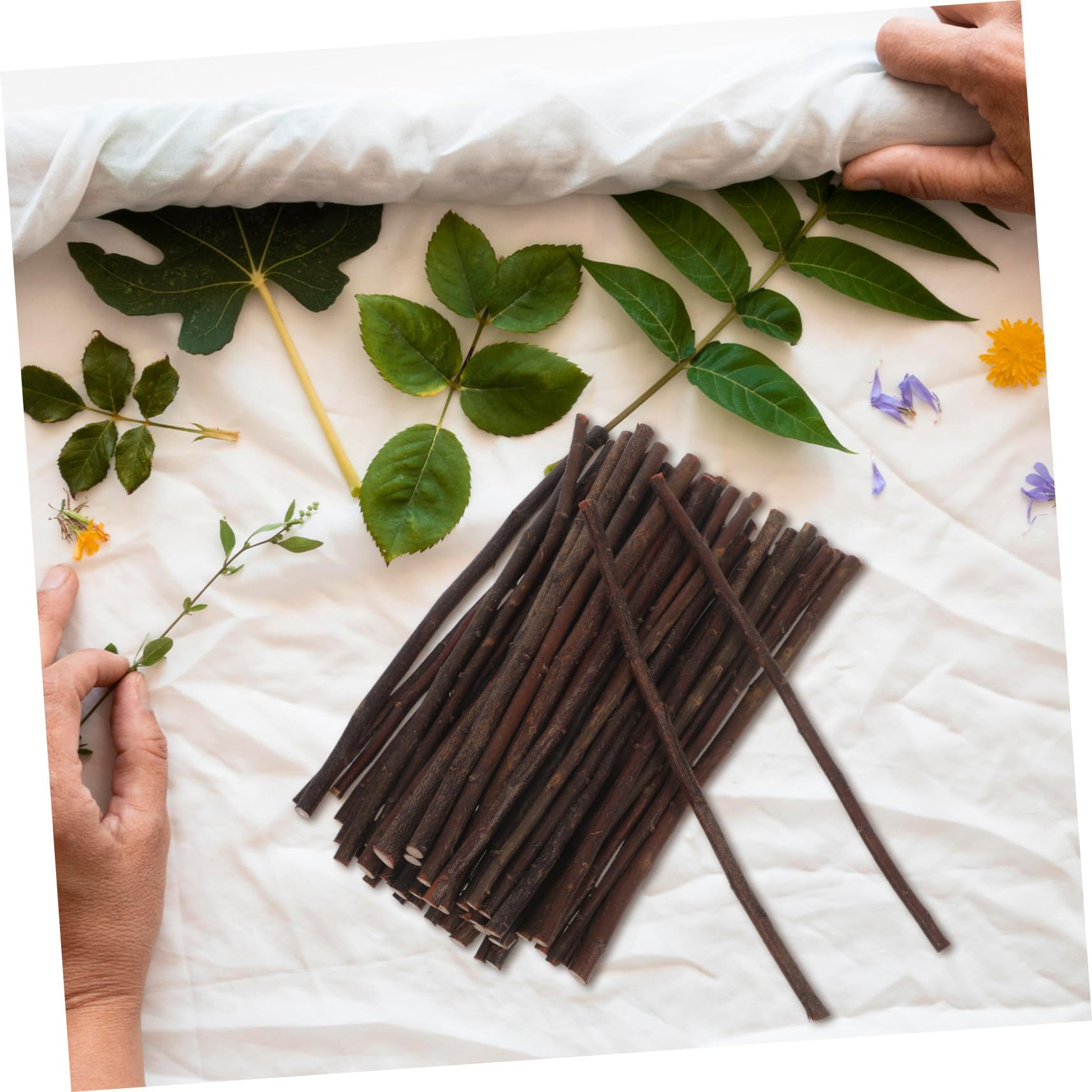 Palitos de Madera Natural Marrón Accesorios Resistentes y Fáciles de Usar 50 para Manualidades Diy para Proyectos Infantiles y Temáticas de Playa