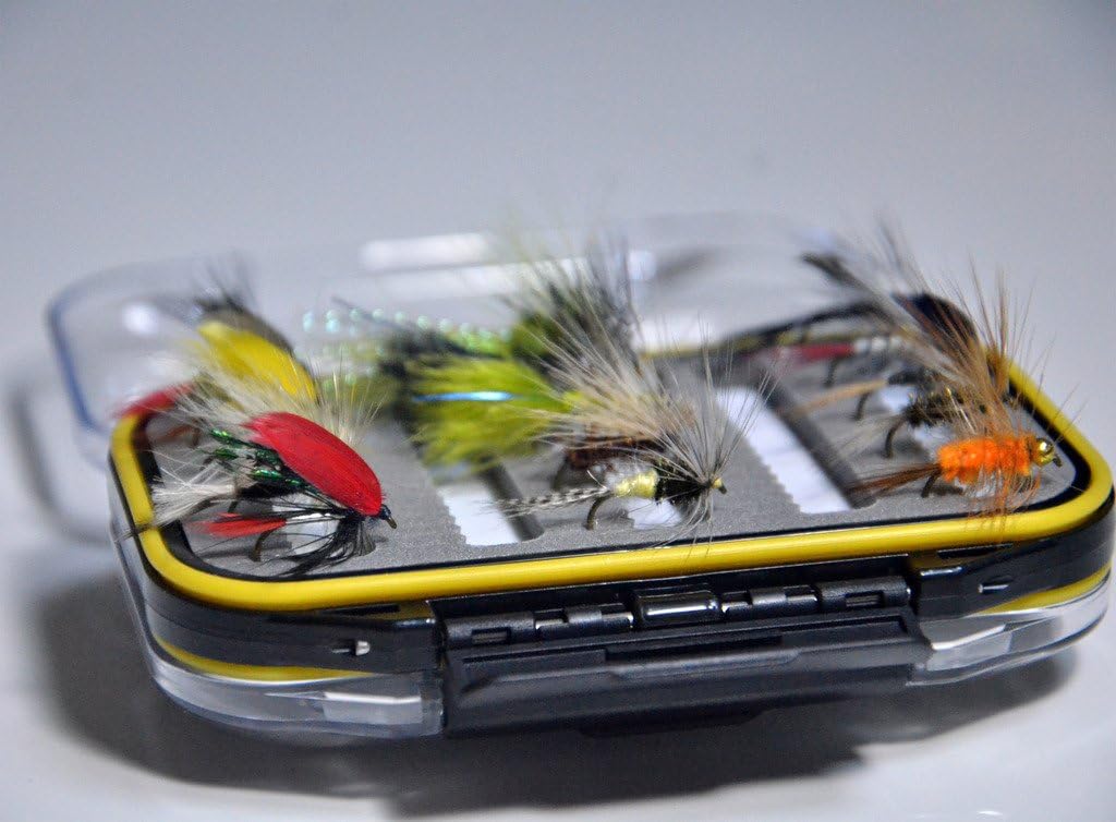 Outdoor Planet Double Side Waterproof Pocketed Fly Box + Assorted Trout Fly Fishing Lure Pack of 15 Pieces Fly Lure : Sports & Outdoors