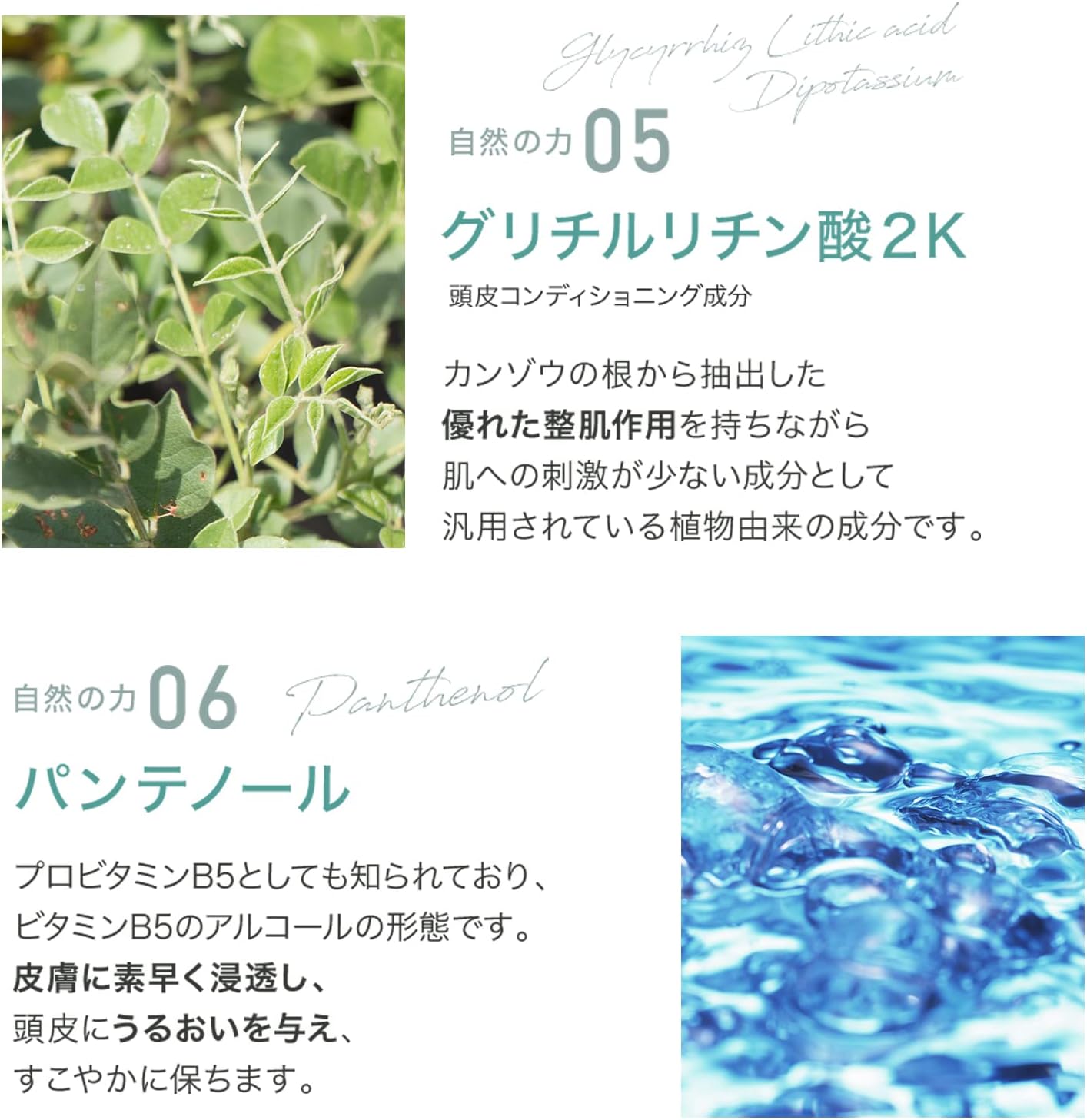 柿のさちスカルプトニック 柿渋 柿タンニン 頭皮ケア