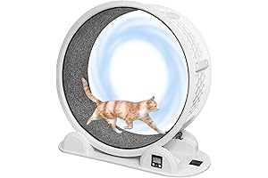 41-Inch Silent Cat Wheel for Hyperactive Cats with Pedometer and Carpeted Surface