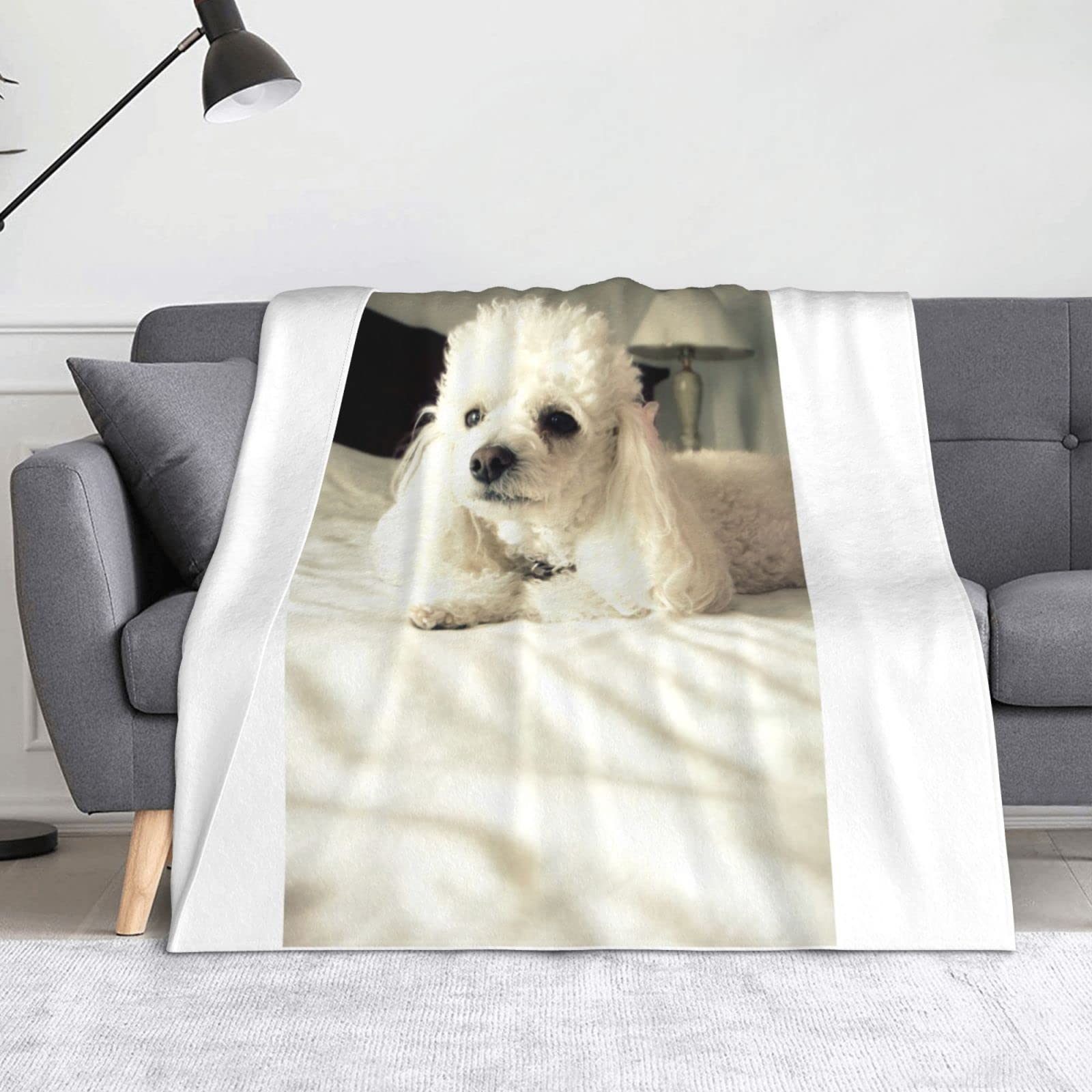 Couverture en flanelle caniche français pour lit et canapé