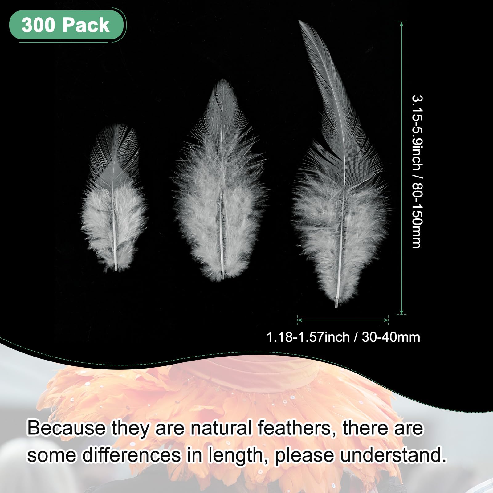 M METERXITY 300-Pack Saddle Hackle Rooster Feather - Image 3